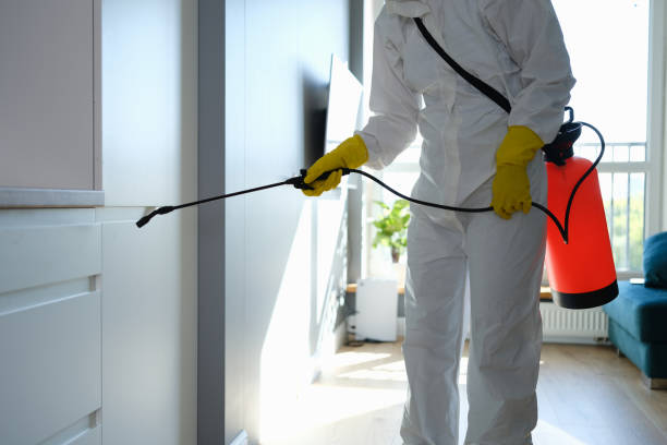 Best Environmental Consulting for Mold Prevention  in Oakfield, WI